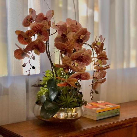 Pousada Jardins Santarém Екстериор снимка